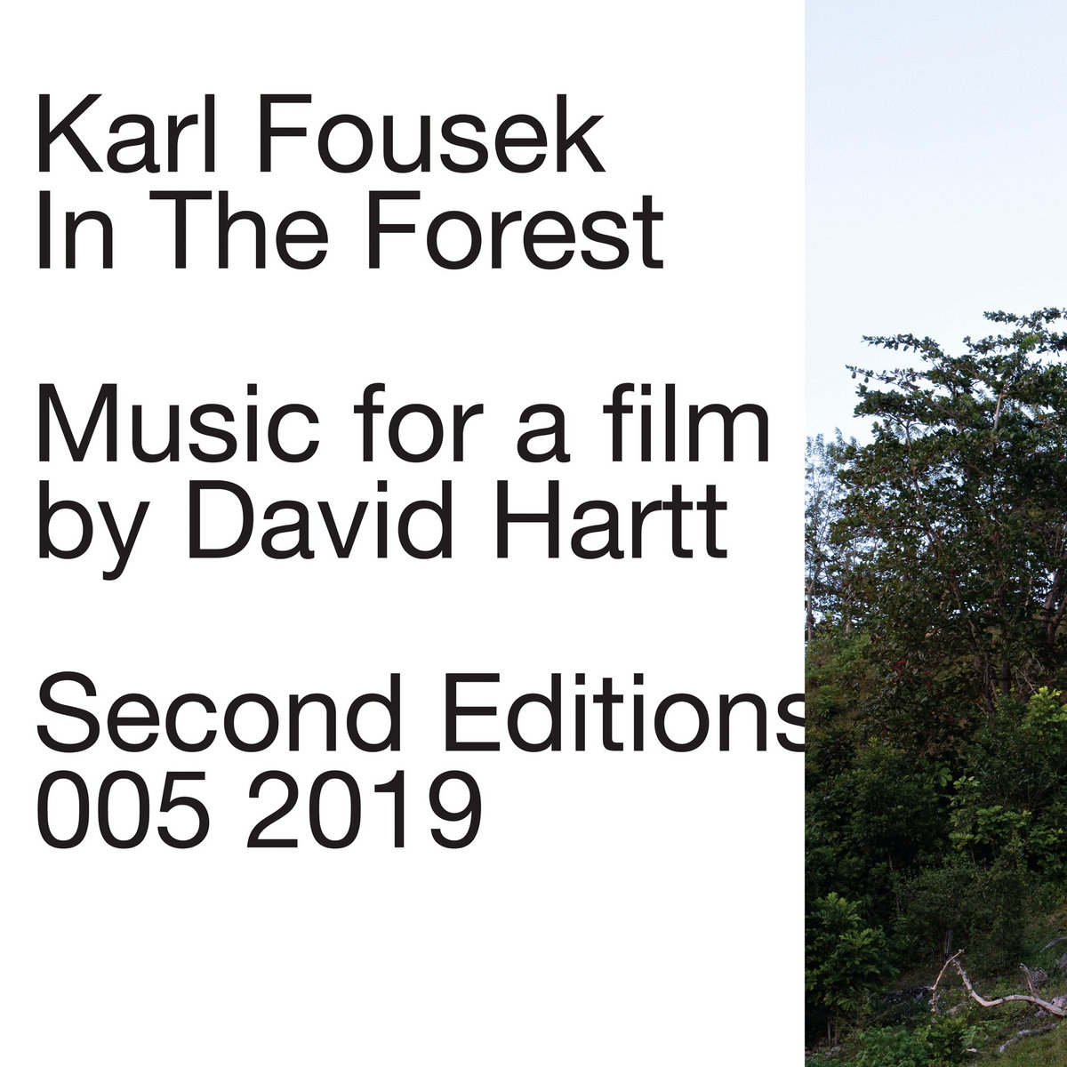 Karl Fousek - In the Forest