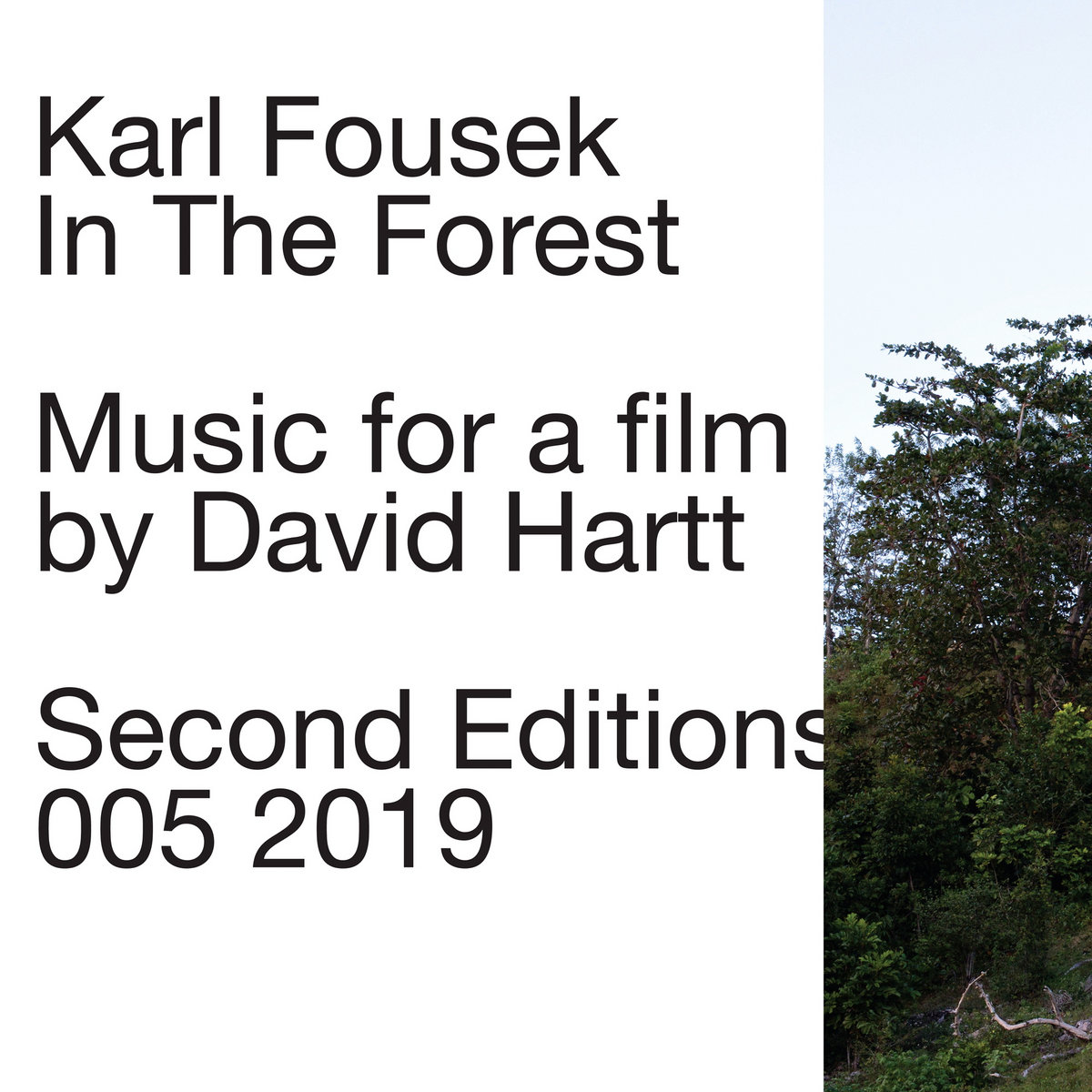 In the Forest cover